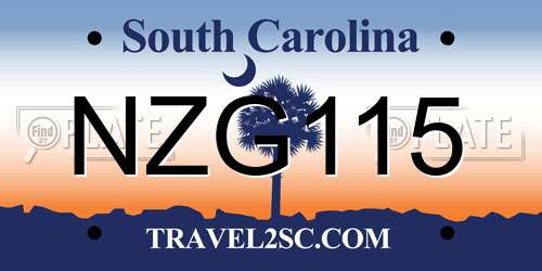NZG115 South Carolina License Plate