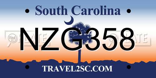 NZG358 South Carolina License Plate