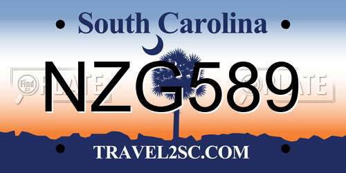 NZG589 South Carolina License Plate