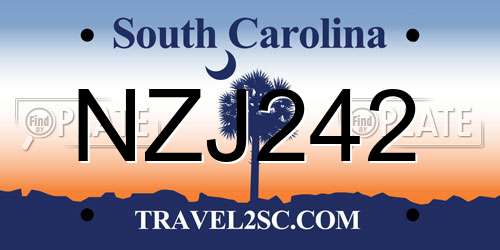 NZJ242 South Carolina License Plate