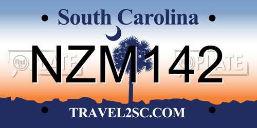 NZM142 South Carolina License Plate