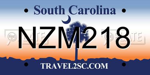 NZM218 South Carolina License Plate