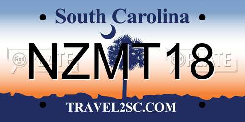 NZMT18 South Carolina License Plate