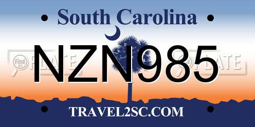 NZN985 South Carolina License Plate