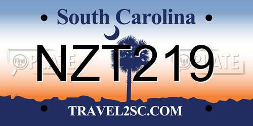 NZT219 South Carolina License Plate