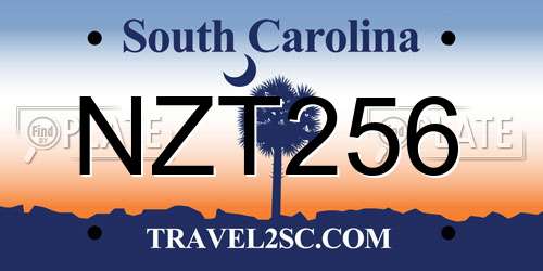 NZT256 South Carolina License Plate