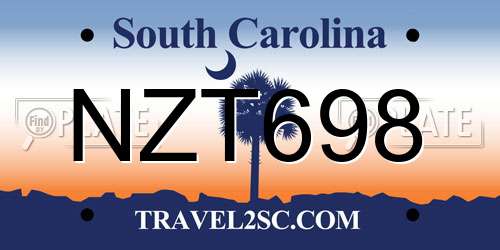 NZT698 South Carolina License Plate