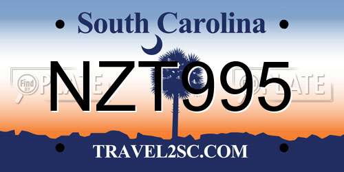 NZT995 South Carolina License Plate