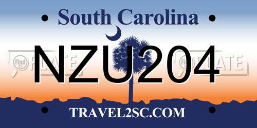 NZU204 South Carolina License Plate