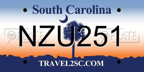 NZU251 South Carolina License Plate