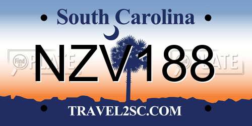 NZV188 South Carolina License Plate