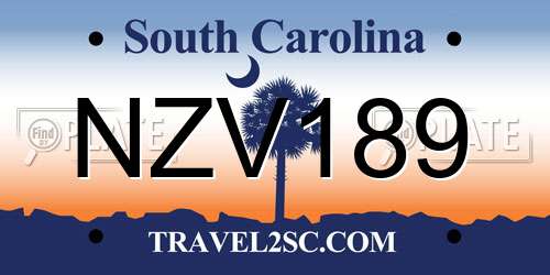 NZV189 South Carolina License Plate