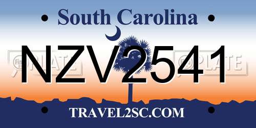 NZV2541 South Carolina License Plate