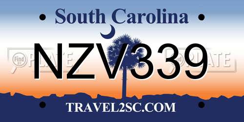 NZV339 South Carolina License Plate