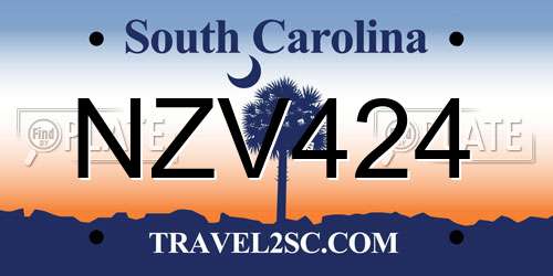 NZV424 South Carolina License Plate