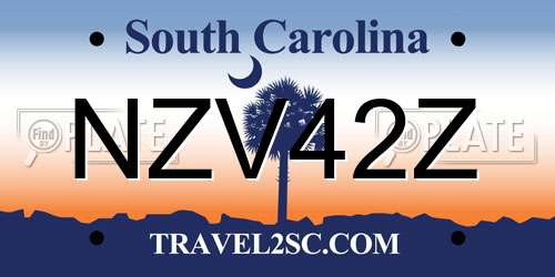 NZV42Z South Carolina License Plate
