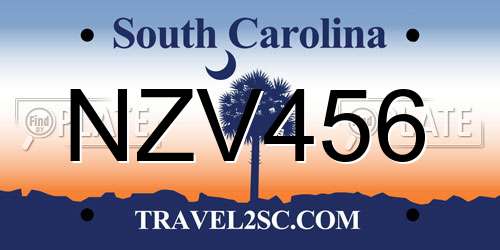 NZV456 South Carolina License Plate