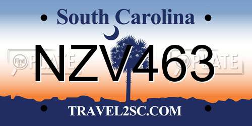 NZV463 South Carolina License Plate