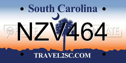 NZV464 South Carolina License Plate