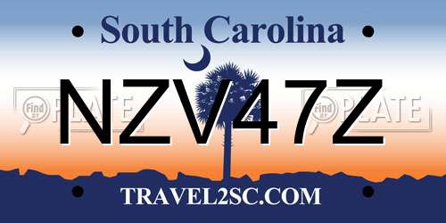 NZV47Z South Carolina License Plate