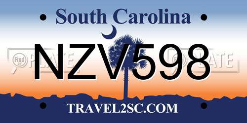 NZV598 South Carolina License Plate