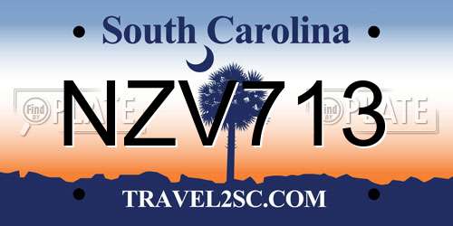 NZV713 South Carolina License Plate