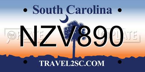NZV890 South Carolina License Plate