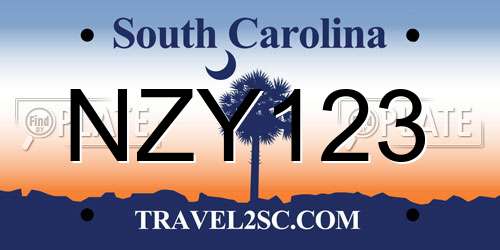 NZY123 South Carolina License Plate