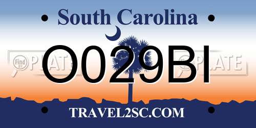 O029BI South Carolina License Plate