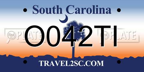 O042TI South Carolina License Plate
