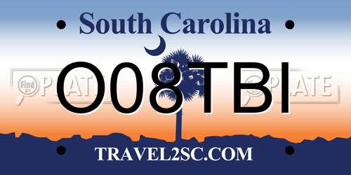 O08TBI South Carolina License Plate