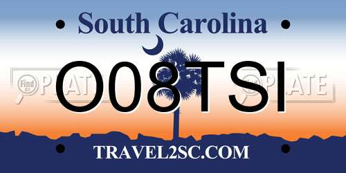O08TSI South Carolina License Plate