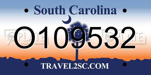 O109532 South Carolina License Plate