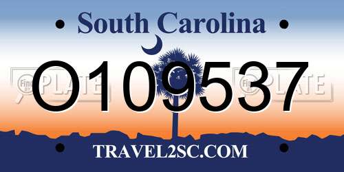 O109537 South Carolina License Plate