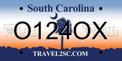 O124OX South Carolina License Plate