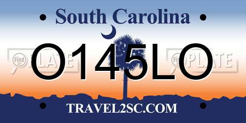 O145LO South Carolina License Plate