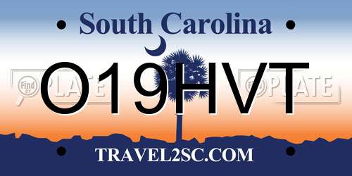 O19HVT South Carolina License Plate