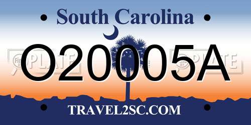 O20005A South Carolina License Plate