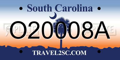O20008A South Carolina License Plate