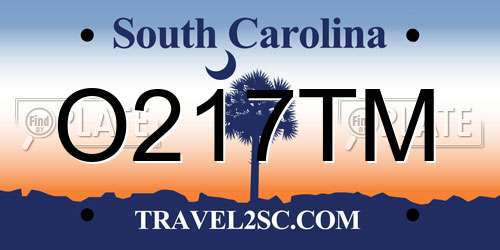 O217TM South Carolina License Plate