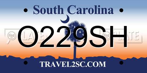 O229SH South Carolina License Plate