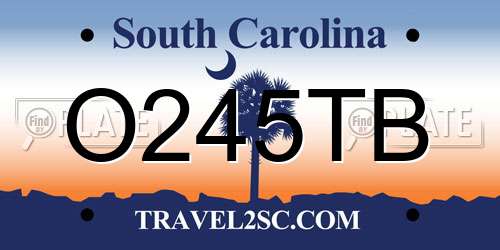 O245TB South Carolina License Plate