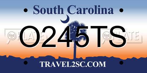 O245TS South Carolina License Plate