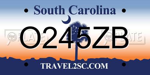 O245ZB South Carolina License Plate
