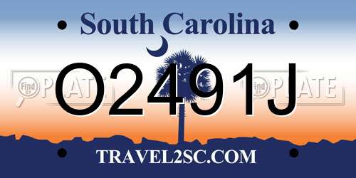O2491J South Carolina License Plate