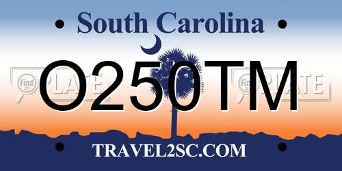 O250TM South Carolina License Plate