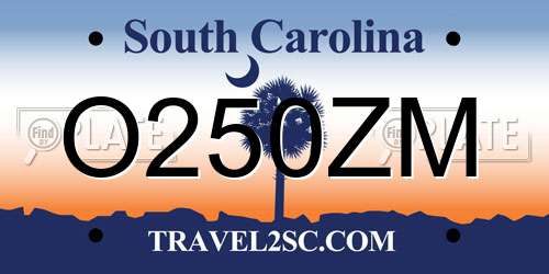 O250ZM South Carolina License Plate