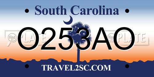 O253AO South Carolina License Plate