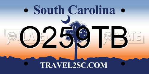 O259TB South Carolina License Plate