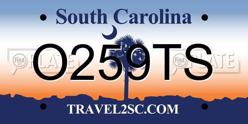 O259TS South Carolina License Plate
